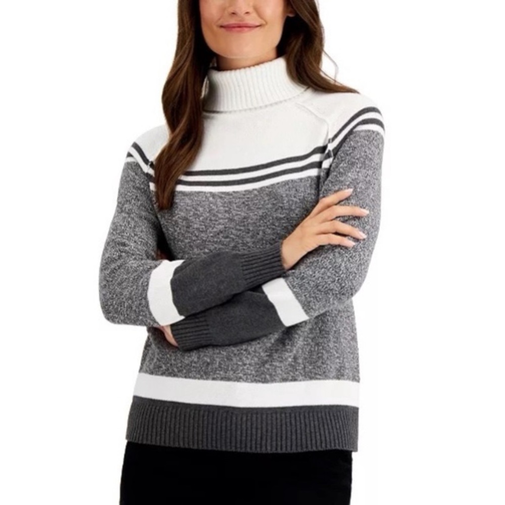 Karen Scott Colorblock Turtleneck Sweater